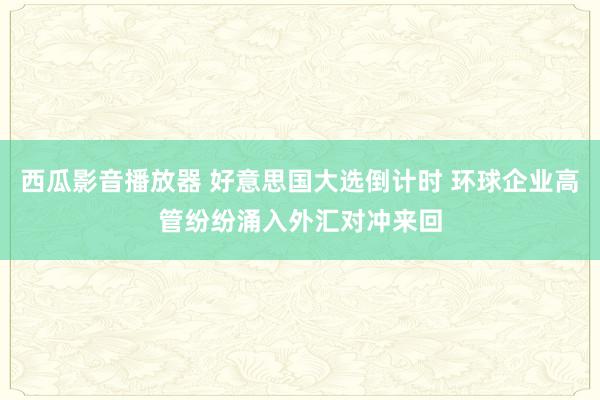 西瓜影音播放器 好意思国大选倒计时 环球企业高管纷纷涌入外汇对冲来回