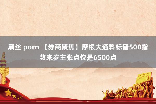 黑丝 porn 【券商聚焦】摩根大通料标普500指数来岁主张点位是6500点