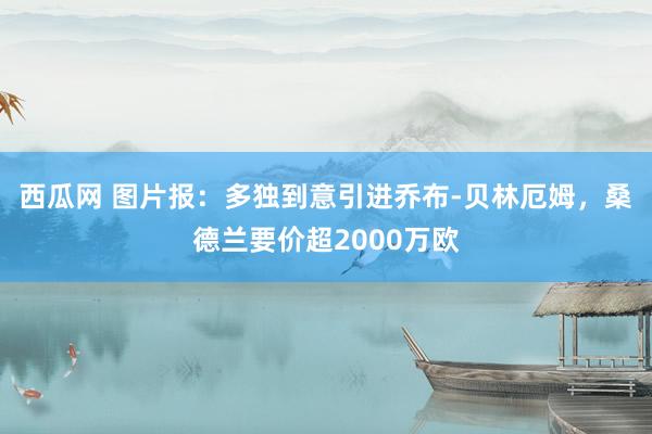 西瓜网 图片报：多独到意引进乔布-贝林厄姆，桑德兰要价超2000万欧