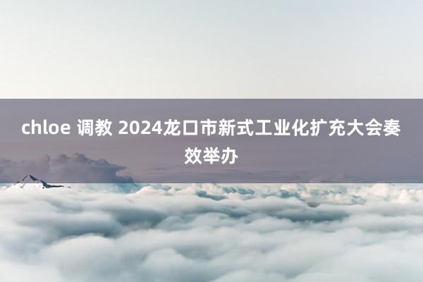 chloe 调教 2024龙口市新式工业化扩充大会奏效举办