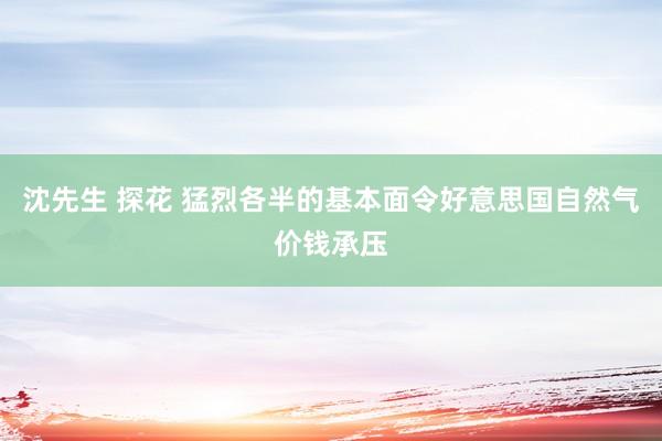 沈先生 探花 猛烈各半的基本面令好意思国自然气价钱承压