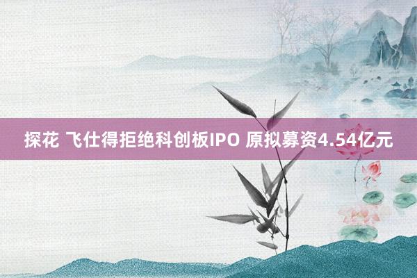 探花 飞仕得拒绝科创板IPO 原拟募资4.54亿元
