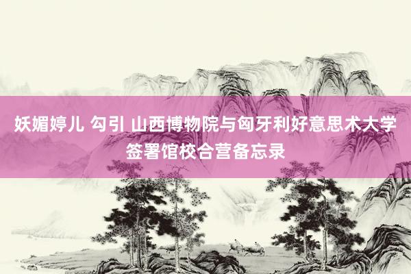 妖媚婷儿 勾引 山西博物院与匈牙利好意思术大学签署馆校合营备忘录