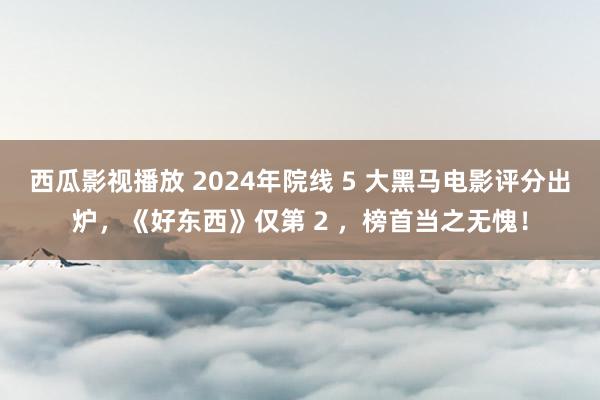 西瓜影视播放 2024年院线 5 大黑马电影评分出炉，《好东西》仅第 2 ，榜首当之无愧！