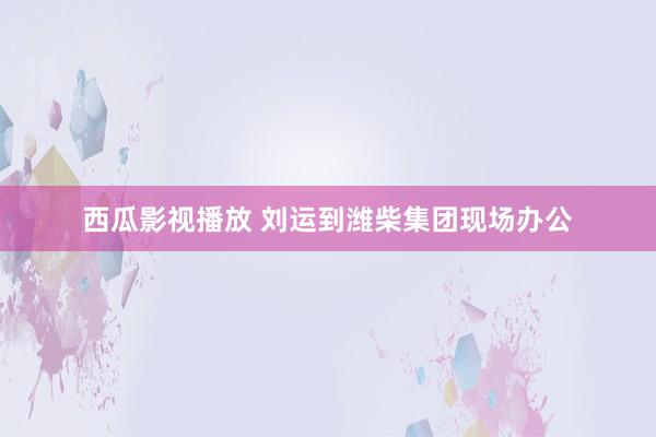 西瓜影视播放 刘运到潍柴集团现场办公