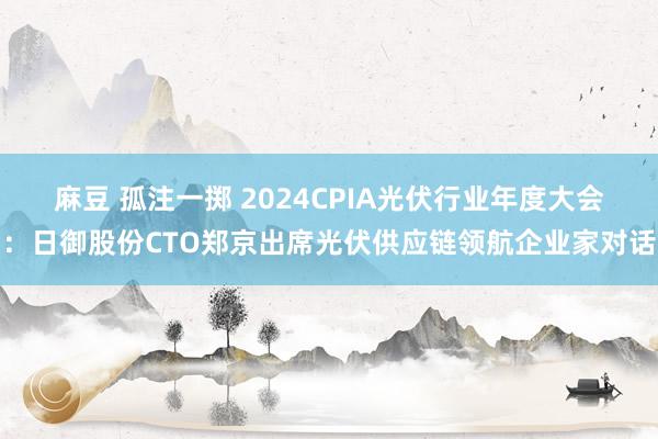 麻豆 孤注一掷 2024CPIA光伏行业年度大会：日御股份CTO郑京出席光伏供应链领航企业家对话