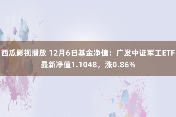 西瓜影视播放 12月6日基金净值：广发中证军工ETF最新净值1.1048，涨0.86%