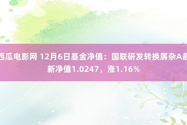 西瓜电影网 12月6日基金净值：国联研发转换羼杂A最新净值1.0247，涨1.16%