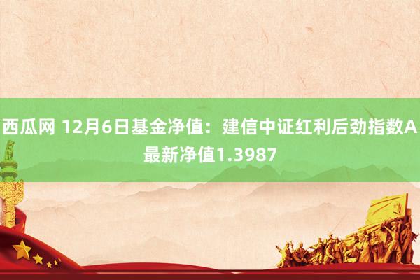 西瓜网 12月6日基金净值：建信中证红利后劲指数A最新净值1.3987