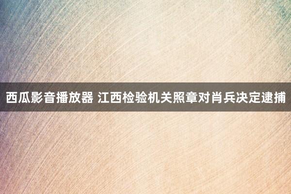 西瓜影音播放器 江西检验机关照章对肖兵决定逮捕