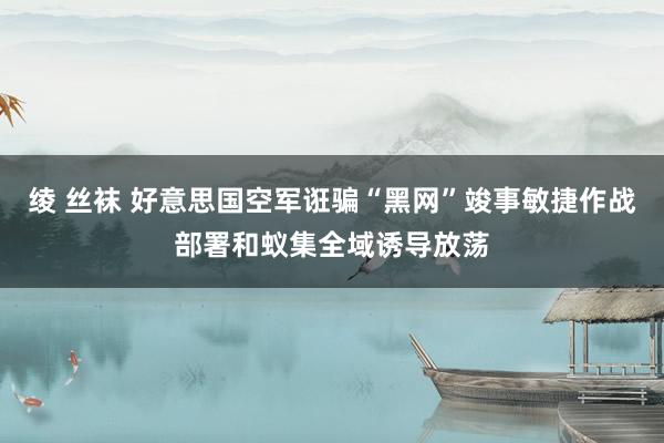 绫 丝袜 好意思国空军诳骗“黑网”竣事敏捷作战部署和蚁集全域诱导放荡
