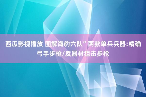 西瓜影视播放 图解海豹六队”两款单兵兵器:精确弓手步枪/反器材狙击步枪
