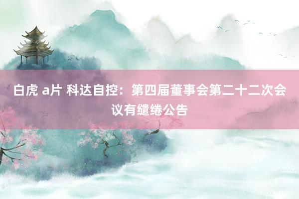 白虎 a片 科达自控：第四届董事会第二十二次会议有缱绻公告