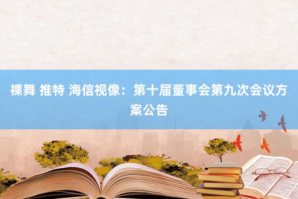 裸舞 推特 海信视像：第十届董事会第九次会议方案公告