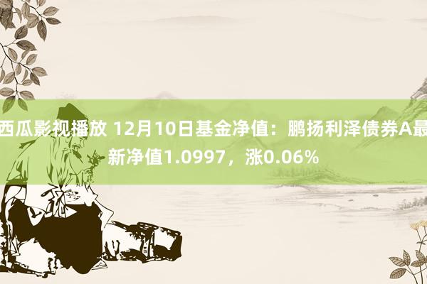 西瓜影视播放 12月10日基金净值：鹏扬利泽债券A最新净值1.0997，涨0.06%