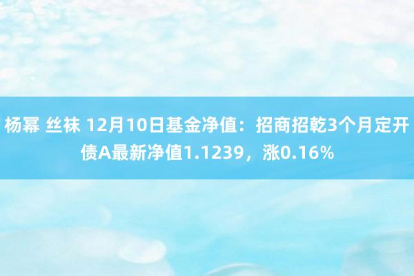 杨幂 丝袜 12月10日基金净值：招商招乾3个月定开债A最新净值1.1239，涨0.16%