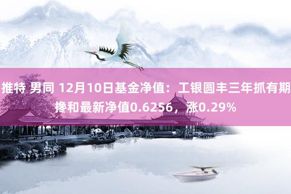 推特 男同 12月10日基金净值：工银圆丰三年抓有期搀和最新净值0.6256，涨0.29%