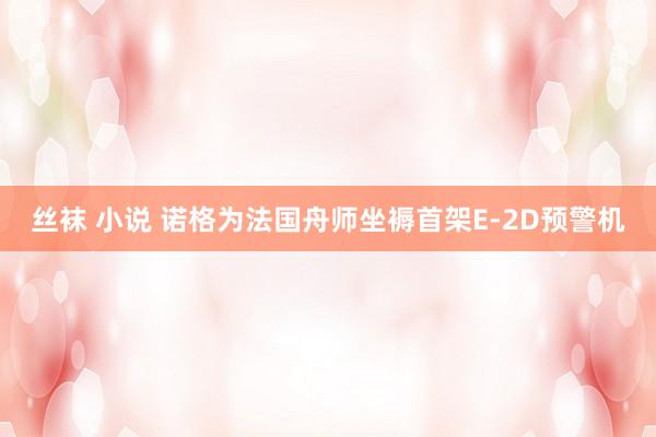 丝袜 小说 诺格为法国舟师坐褥首架E-2D预警机