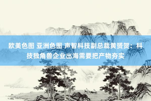 欧美色图 亚洲色图 声智科技副总裁黄赟贺：科技独角兽企业出海需要把产物夯实