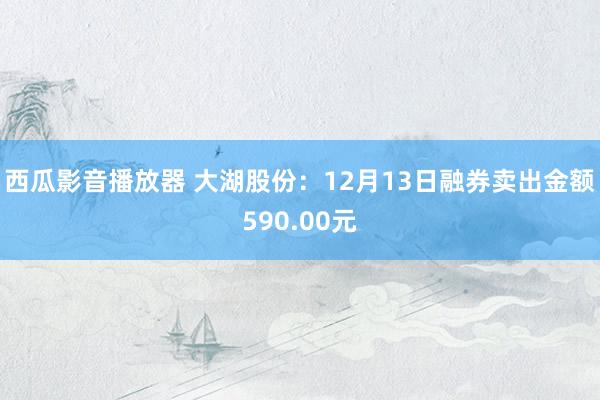 西瓜影音播放器 大湖股份：12月13日融券卖出金额590.00元