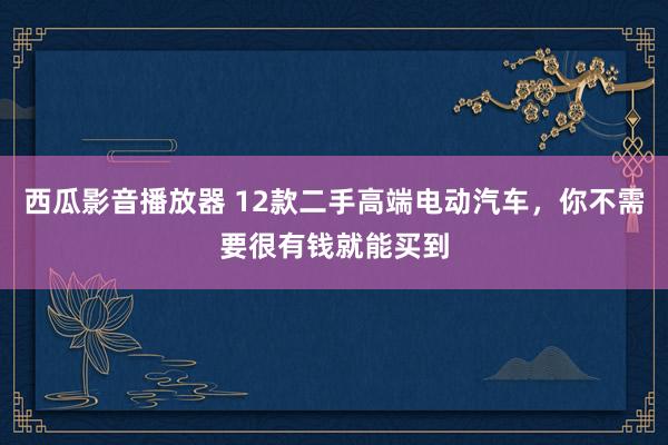 西瓜影音播放器 12款二手高端电动汽车，你不需要很有钱就能买到
