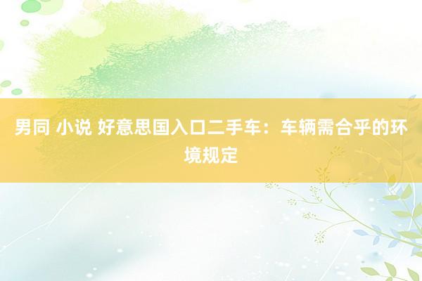 男同 小说 好意思国入口二手车：车辆需合乎的环境规定