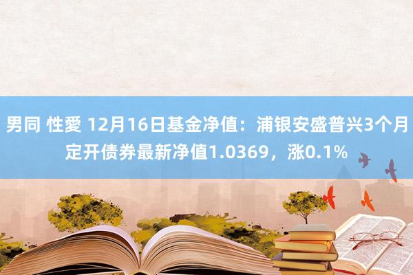 男同 性愛 12月16日基金净值：浦银安盛普兴3个月定开债券最新净值1.0369，涨0.1%