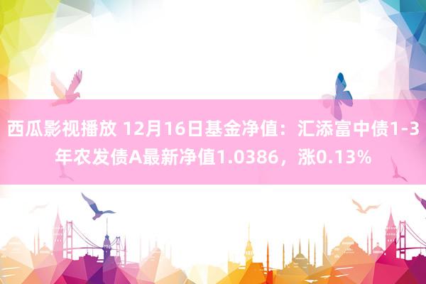 西瓜影视播放 12月16日基金净值：汇添富中债1-3年农发债A最新净值1.0386，涨0.13%