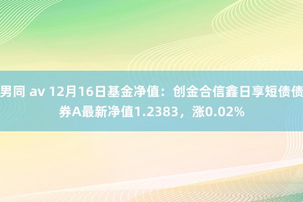 男同 av 12月16日基金净值：创金合信鑫日享短债债券A最新净值1.2383，涨0.02%