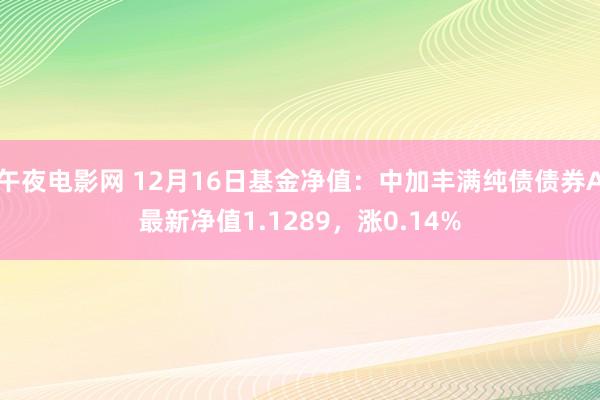 午夜电影网 12月16日基金净值：中加丰满纯债债券A最新净值1.1289，涨0.14%