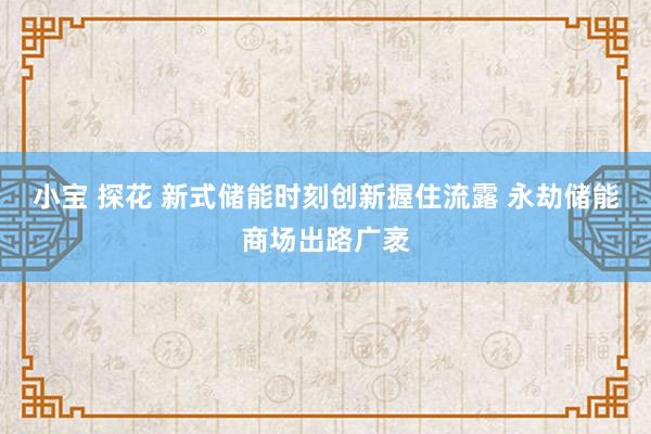 小宝 探花 新式储能时刻创新握住流露 永劫储能商场出路广袤