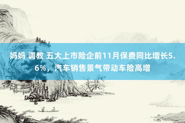 妈妈 调教 五大上市险企前11月保费同比增长5.6%，汽车销售景气带动车险高增
