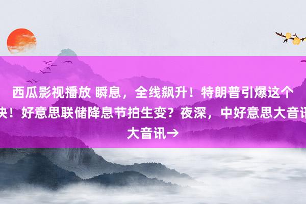 西瓜影视播放 瞬息，全线飙升！特朗普引爆这个板块！好意思联储降息节拍生变？夜深，中好意思大音讯→