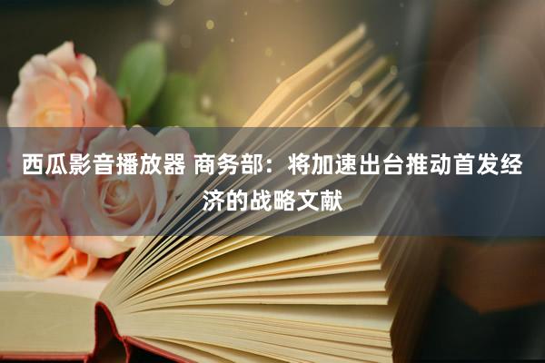 西瓜影音播放器 商务部：将加速出台推动首发经济的战略文献