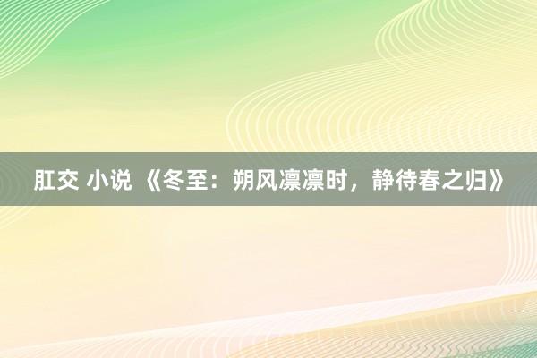 肛交 小说 《冬至：朔风凛凛时，静待春之归》