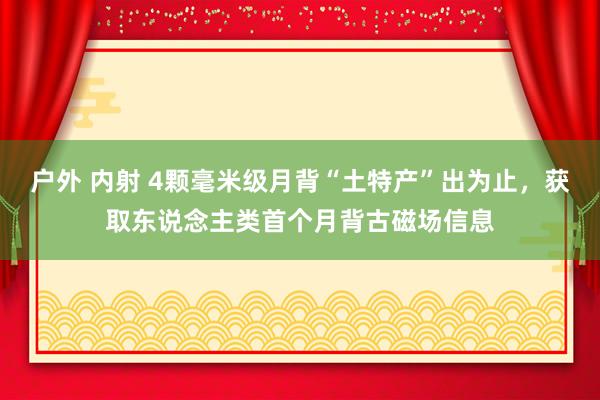 户外 内射 4颗毫米级月背“土特产”出为止，获取东说念主类首个月背古磁场信息