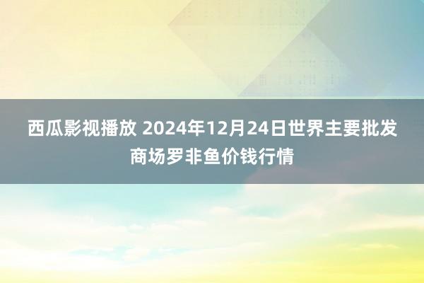 西瓜影视播放 2024年12月24日世界主要批发商场罗非鱼价钱行情