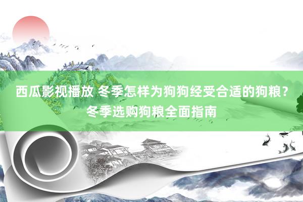 西瓜影视播放 冬季怎样为狗狗经受合适的狗粮？冬季选购狗粮全面指南