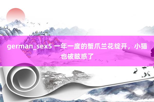 german_sex5 一年一度的蟹爪兰花绽开，小猫也被眩惑了