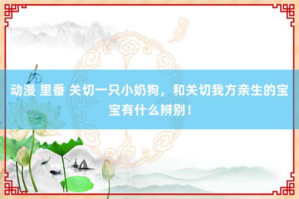 动漫 里番 关切一只小奶狗，和关切我方亲生的宝宝有什么辨别！