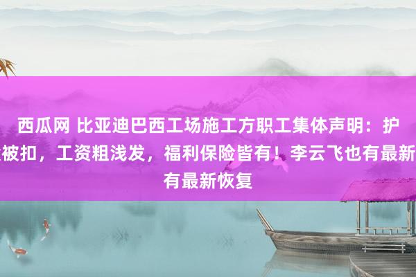 西瓜网 比亚迪巴西工场施工方职工集体声明：护照没被扣，工资粗浅发，福利保险皆有！李云飞也有最新恢复