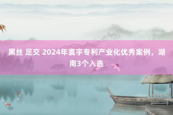 黑丝 足交 2024年寰宇专利产业化优秀案例，湖南3个入选