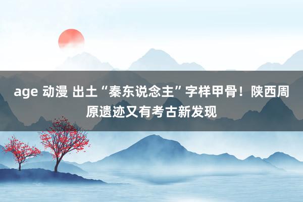 age 动漫 出土“秦东说念主”字样甲骨！陕西周原遗迹又有考古新发现