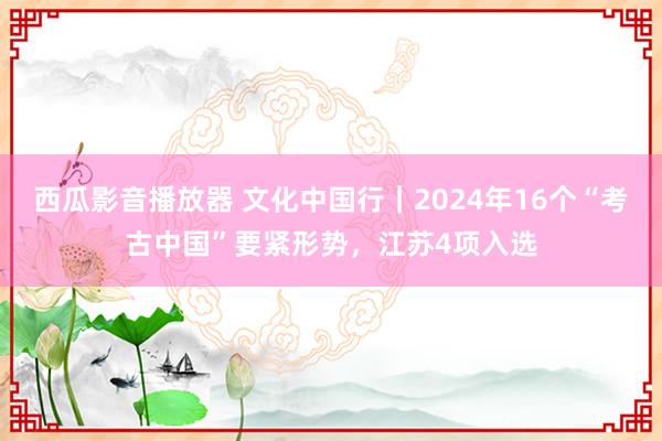 西瓜影音播放器 文化中国行｜2024年16个“考古中国”要紧形势，江苏4项入选