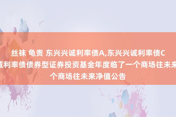 丝袜 龟责 东兴兴诚利率债A,东兴兴诚利率债C: 东兴兴诚利率债债券型证券投资基金年度临了一个商场往未来净值公告