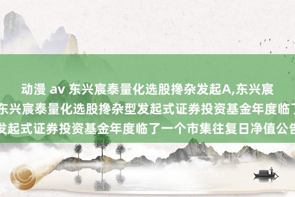 动漫 av 东兴宸泰量化选股搀杂发起A，<a href=