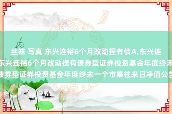 丝袜 写真 东兴连裕6个月改动捏有债A,东兴连裕6个月改动捏有债C: 东兴连裕6个月改动捏有债券型证券投资基金年度终末一个市集往来日净值公告