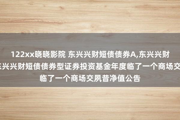 122xx晓晓影院 东兴兴财短债债券A，东兴兴财短债债券C: 东兴兴财短债债券型证券投资基金年度临了一个商场交夙昔净值公告