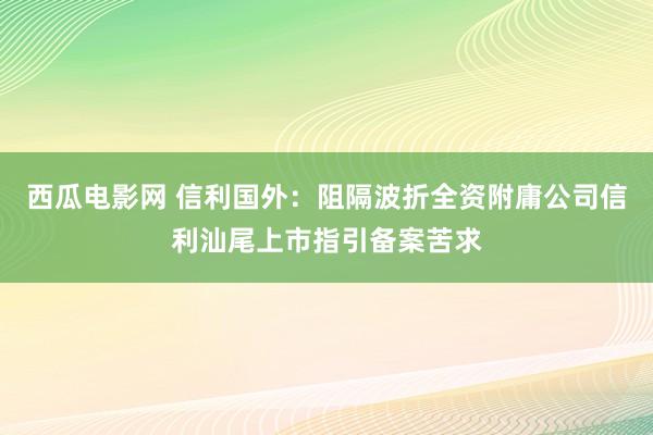 西瓜电影网 信利国外：阻隔波折全资附庸公司信利汕尾上市指引备案苦求