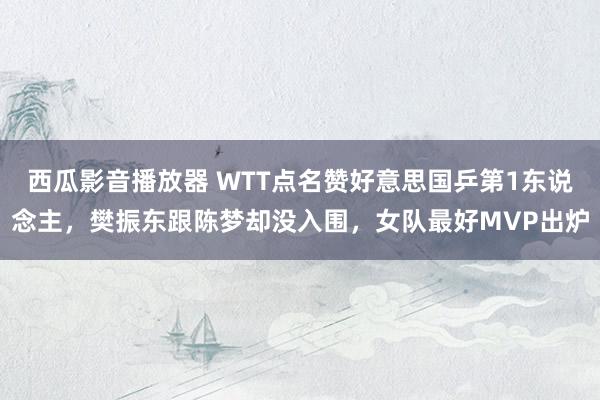西瓜影音播放器 WTT点名赞好意思国乒第1东说念主，樊振东跟陈梦却没入围，女队最好MVP出炉